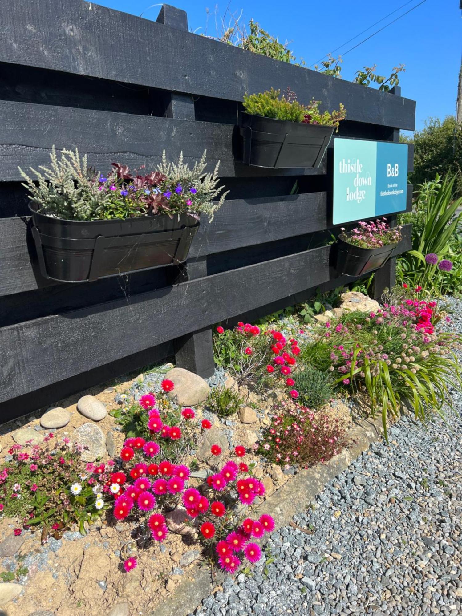 Thistledown Lodge 페다드 온 씨 외부 사진